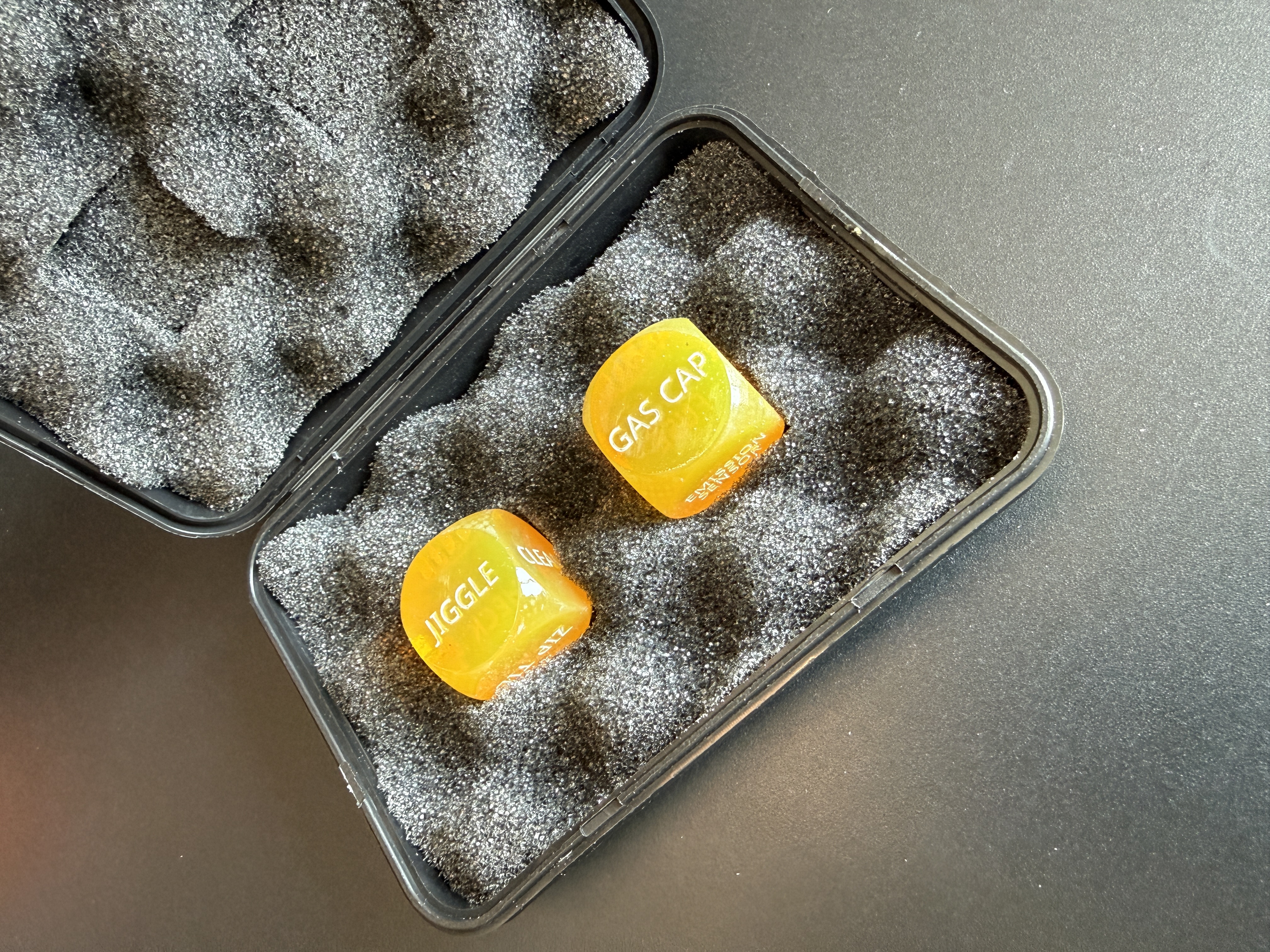 Diagnostic Dice in foam-lined case